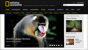 网络手机号呼叫软件免费版